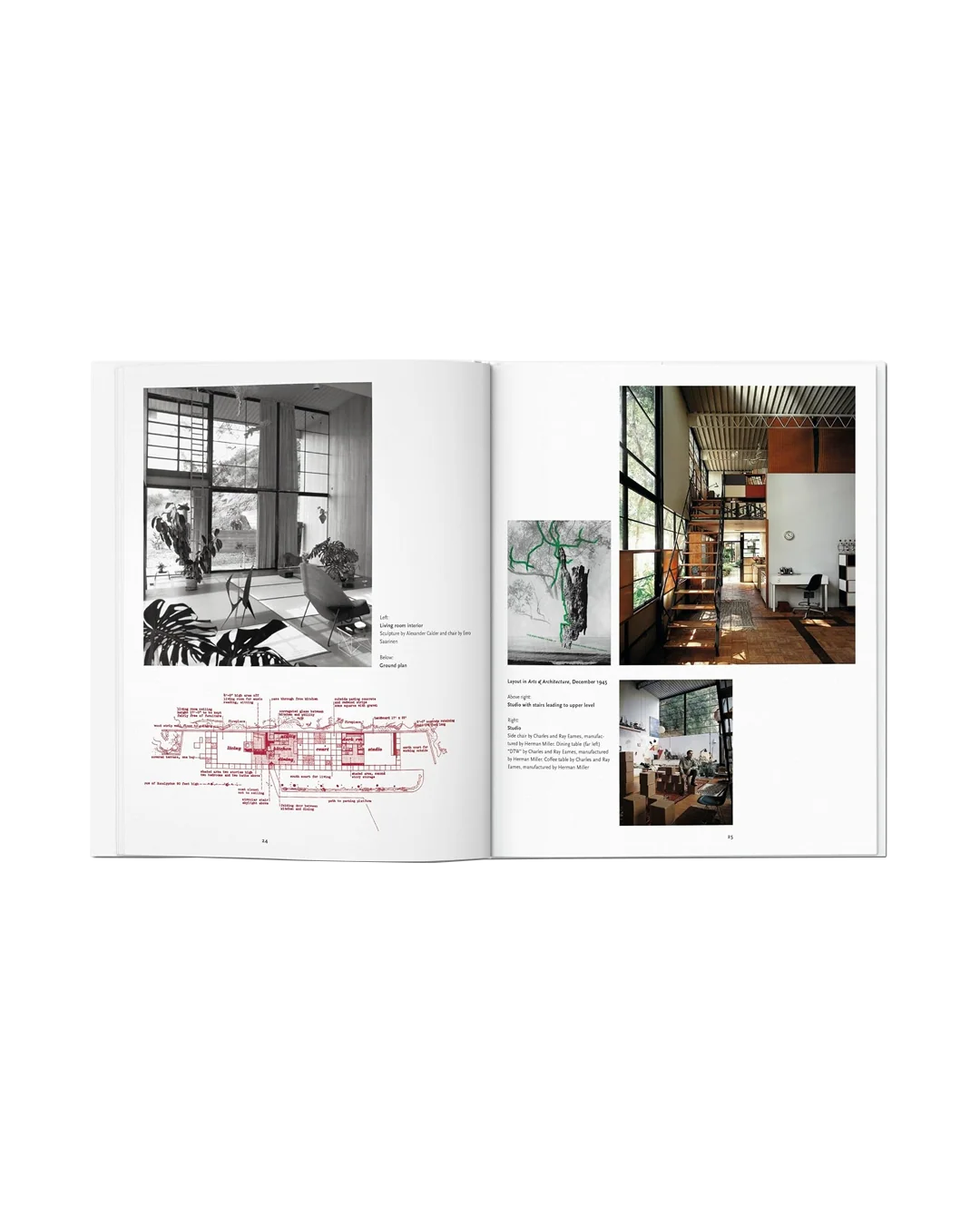 Case Study view 3