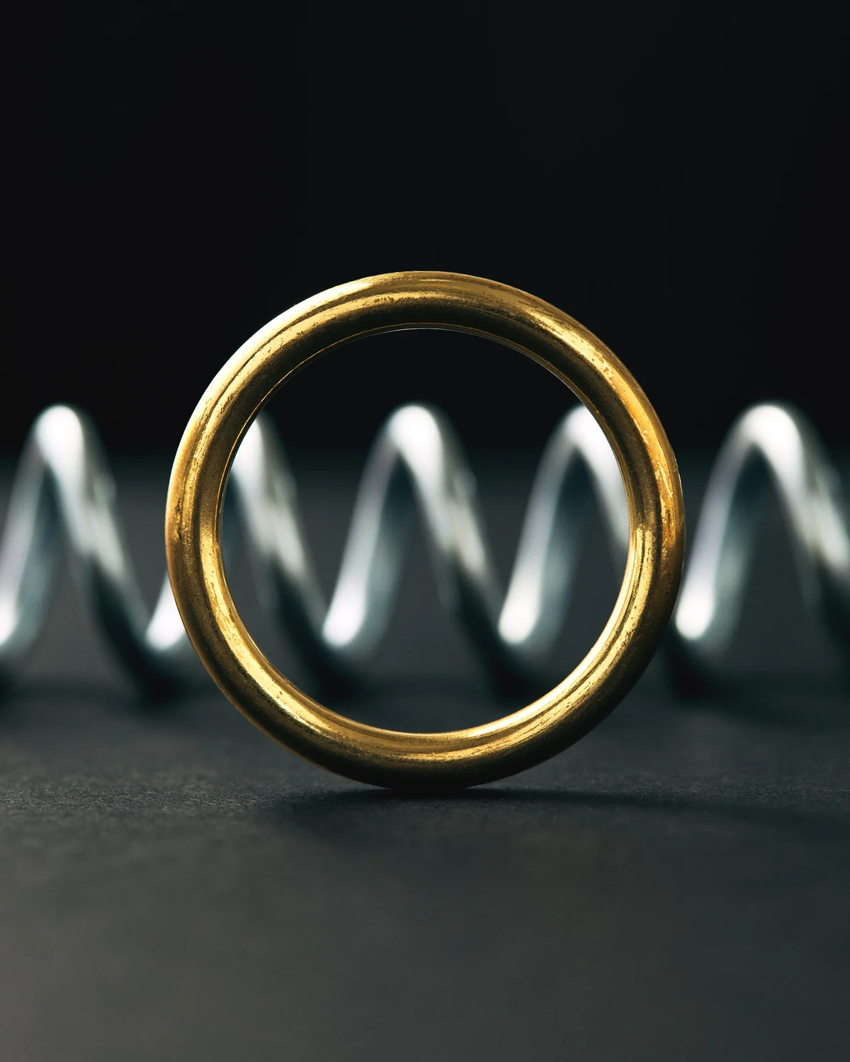 Ring & Spring Puzzle view 3