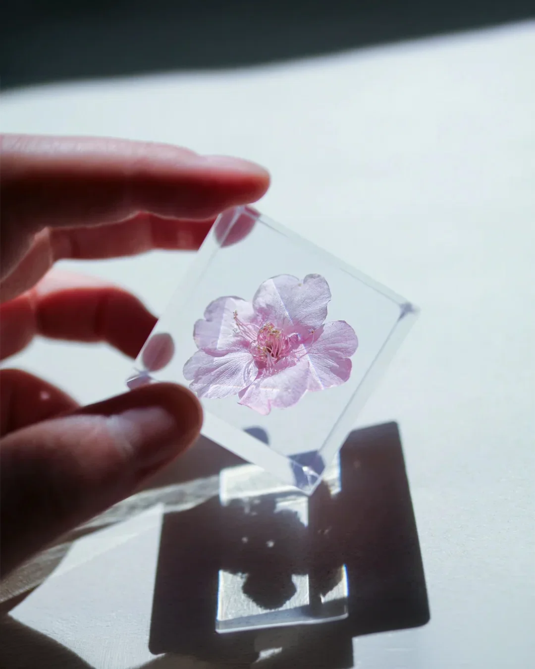 Sakura Sola Cube view 3